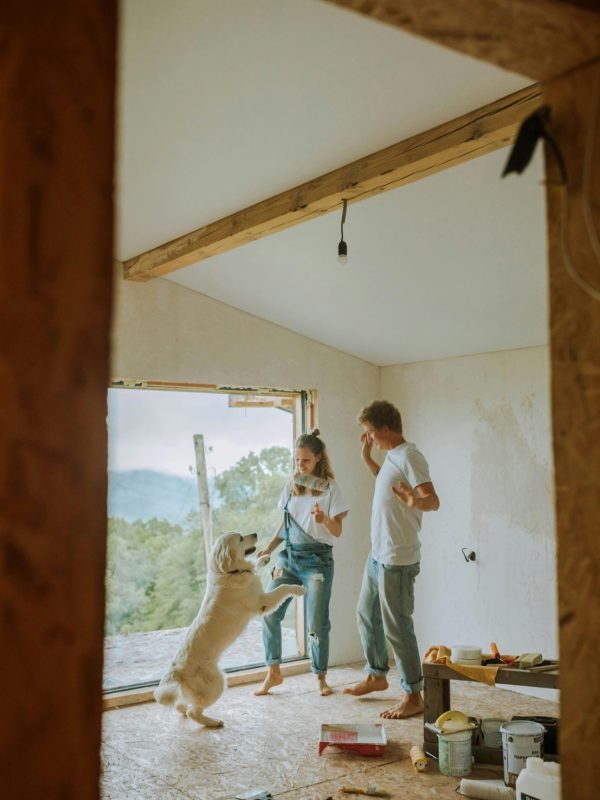 pexels-anastasia-shuraeva-5495067 pexels-anastasia-shuraeva-5495067