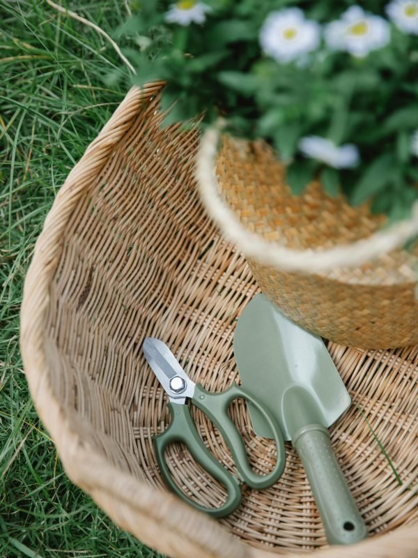 pexels-gary-barnes-6231836 pexels-gary-barnes-6231836