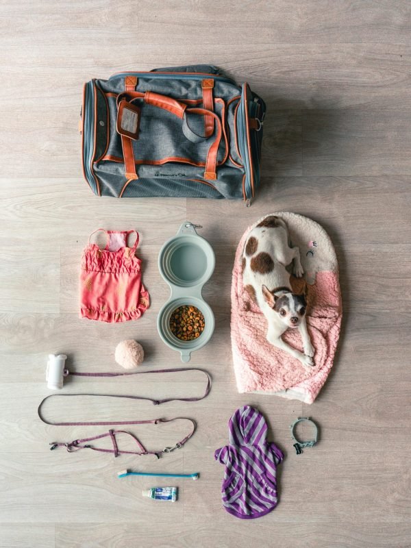 pexels-thishanabee-3981763 pexels-thishanabee-3981763